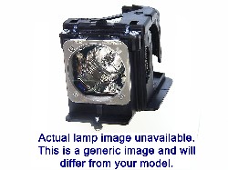 Original Dual Lamp For PANASONIC PT-DZ13K (Portrait) Projector