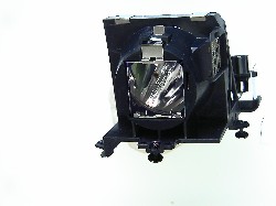 Original  Lamp For TOSHIBA TDP F1 PLUS Projector